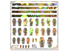 W-f1-37-20 ���.png