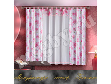 ���� ���� ����� - 541 ���, ������� - 724 ���