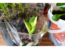 �������