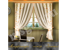 �������� ���� 557 ���