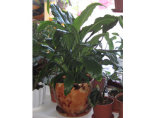 ��������������