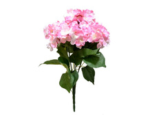 ����� ������������� "���������" 55��