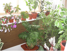 ������ � 2014