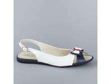 2341 36-44p 2650.jpg