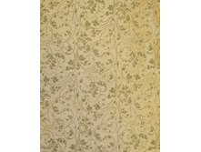 ������� ����.jpg