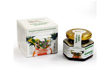 ������� «��������� ��������» ������-������������, ����� ������, 100 � 240+%.jpg