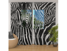 �������� <<�����>>