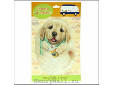 ������ �� ����������� �������� ����� ����� - 167 ������