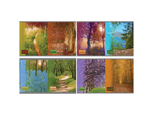 ������� 48�. �5 ������ ������� Multi Color Nature 14,22.jpg