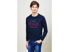 �������519019903(247) - 1103+%.jpg