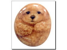 ������ ������� ����, ���� - 105 ������