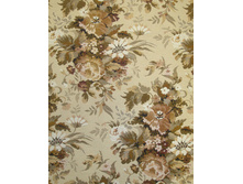 ������� ����.jpg