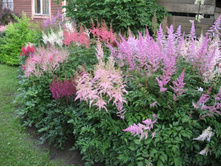 �������� � ����