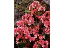 ����� ���� ����������EUR 2,54 165,2 2.jpg