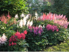 �������� � ����