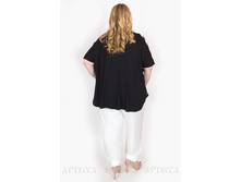 ������ V006.2 +.jpg