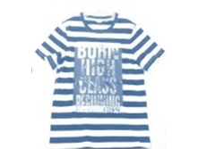 13-2057-F�������  245,50