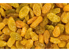 ���� ������_�������_�������.jpg