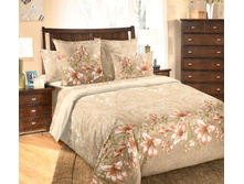 �������� 2.jpg