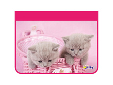 ����� ��� ����� 1 ���������, �4, ������ � ������� 2  �� ������, ����� ������� 138,06.jpg