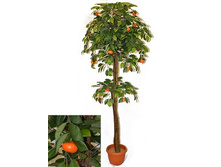 180/�2/24� - 4966