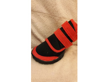 20150423_223646.jpg