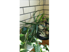 20150408_162207.jpg