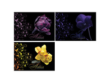 ������ ��� ��������� 32�. �4 �� ������ Excellent Flowers, ������� 34,09.jpg