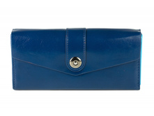 BL2079-445 ���.jpg