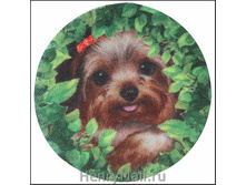 �������� �� ��������� �� ����� ��� ���������� ������ ������������ ������� ���� - 91 �����