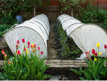 ������ ���������� 6�*1,2*0,8. ���� 560 ���+%