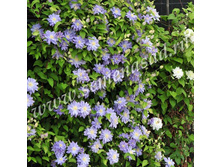 �������� ��������������� ������� ���� 365,0