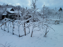 20150420_051222.jpg