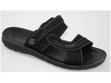 �������: �1616-1 �������� �������