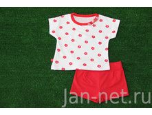 �������� ��������+�����. ���� 364.75 ���. (�� 1 ��.)