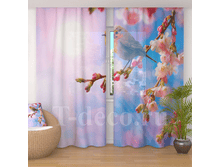 �������� <<����� �� �����>>