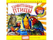 udivitelnie_ptici.gif