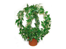 �� 2/50/129 - 711 - ������ 25%