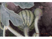 29 ���� 2014 071.jpg