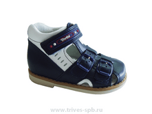 ��������� � �������� ������ TW-204, ���� �����-�����.png