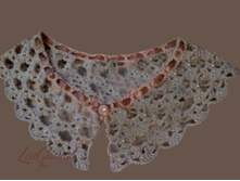 ����: 470 ������