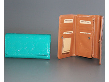 007-062-zel-D   610 �..jpg