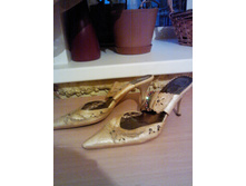 ���������, ��.����, 36���, 150���.jpg