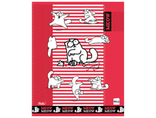 ������� 48�. �5 ������ ��� ������� (SC), ���������� ������� 17,48.jpg