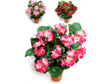�45/16 - 354 - ������ 25%