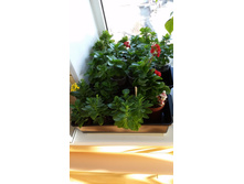 20150408_161954.jpg