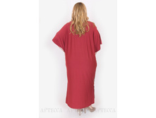 ������ SV020.4 +.jpg