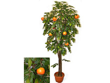 180/���/24� - 4289