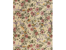 �������� ����������.jpg