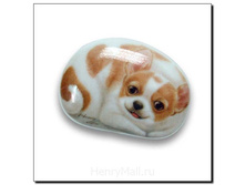 ������ ������� ����, ����